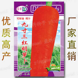 厂家批发红胡萝卜种子红皮红心秋季甜脆水果胡萝卜籽小顶红萝卜种