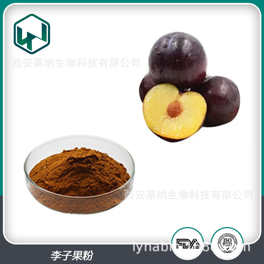 李子粉 10:1%比例水溶速溶植物提取食品果蔬粉 现货包邮量大从优