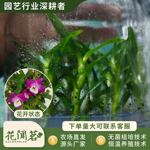 ��ʯ�� 3051���ƴ�ƿ���׳ɻ�M��С�� �҃������Ի�������r��