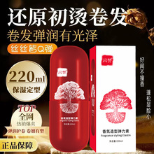 持久香氛造型弹力素女士护卷发定型保湿蓬松防毛躁卷发霜正品批发