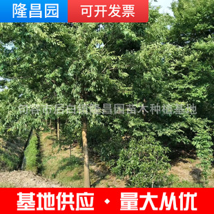 ���̾G����ľ�Θ���t�Θ�ͥԺ���⹤�̾G���ô�Θ�G��