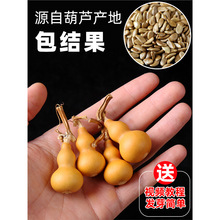 С���J����������ˌ��^�p����ϡ�д���J�N�Ӵ�ȫ�N�������J�ѷN