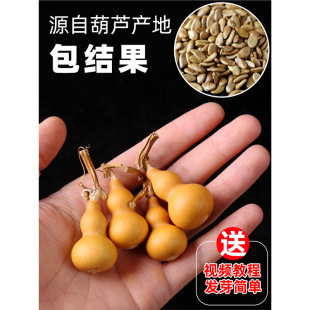 С���J����������ˌ��^�p����ϡ�д���J�N�Ӵ�ȫ�N�������J�ѷN