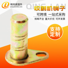 �ո�C�N���r�C����b�d�C�N�S�S���P܇�������P����ĥ�S���N