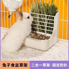 カノのウサギの草の棚の食器に餌を与えます。