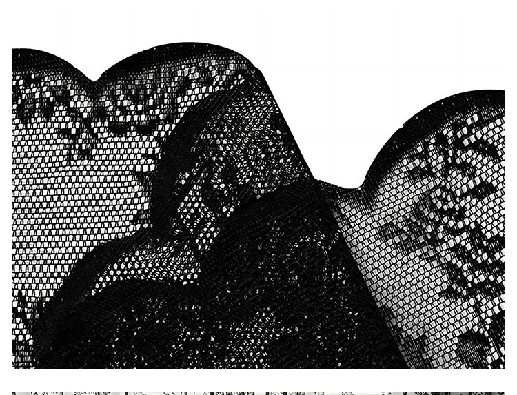 Black Lace Curtain 2