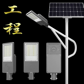 太阳能灯;庭院灯;道路照明灯