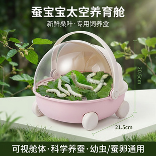 �W���B�Q���b���Q����̫���B��œչʾ���rɣ�~�Q�����x������B��