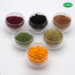 红甜菜根粉红石榴粉枸杞粉针叶樱桃粉羽衣甘蓝粉冲泡冻干