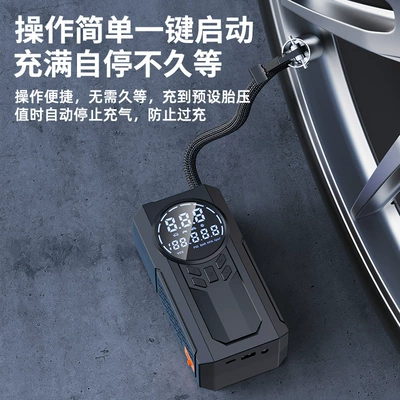 type electric car tire — Hava nasosu