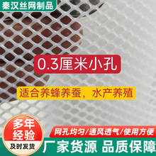 小孔养蜂网胡蜂养殖隔离网小孔防逃养殖笼加厚塑料网片塑料网