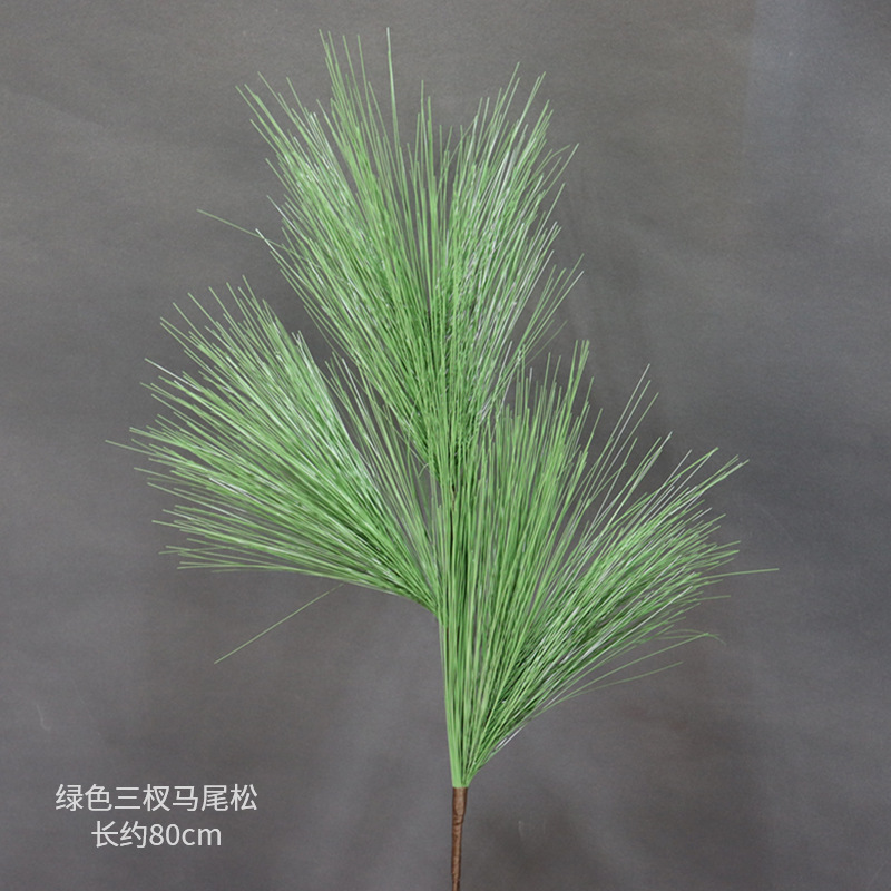 녹색 삼지마 말꼬리 소나무 가지