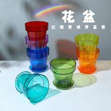 零售彩色透明圆形塑料花盆可以壁挂上墙托盘可以固定蝴蝶兰花盆