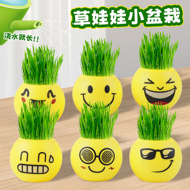 Creative Kidsren's Holiday Gifts, Kindergarten Birthday Gifts, Grass-Headed Dolls, Potted Plants That Grow When Watered, Mini Plants Creative Kidsren's Holiday Gifts, Kindergarten Birthday Gifts, Grass-Headed Dolls, Potted Plants That Grow When Watered, Mini Plants