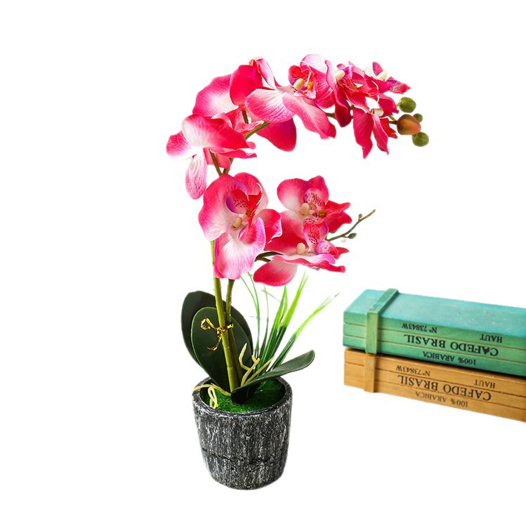 Orquídea de mariposa impresa de serigrafía floral orquídea de mariposa imitación de flores bonsai decoración de sala de estar decoración de escritorio interior decoración de casa maceta artificial image 6