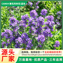 ļ_NѾۻL⏻ܷNӼͥ׻ͺNl