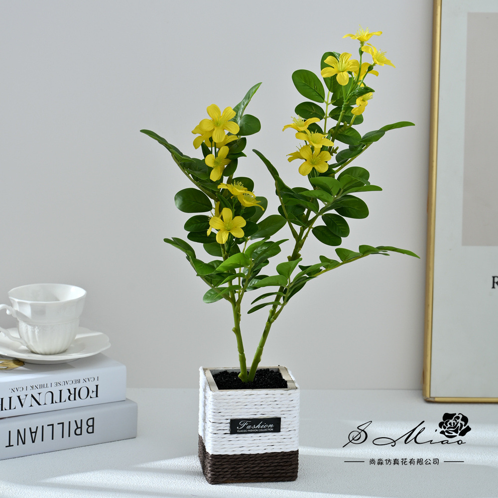2498528 Bonsai de flores de dos árboles de té (pot de madera)