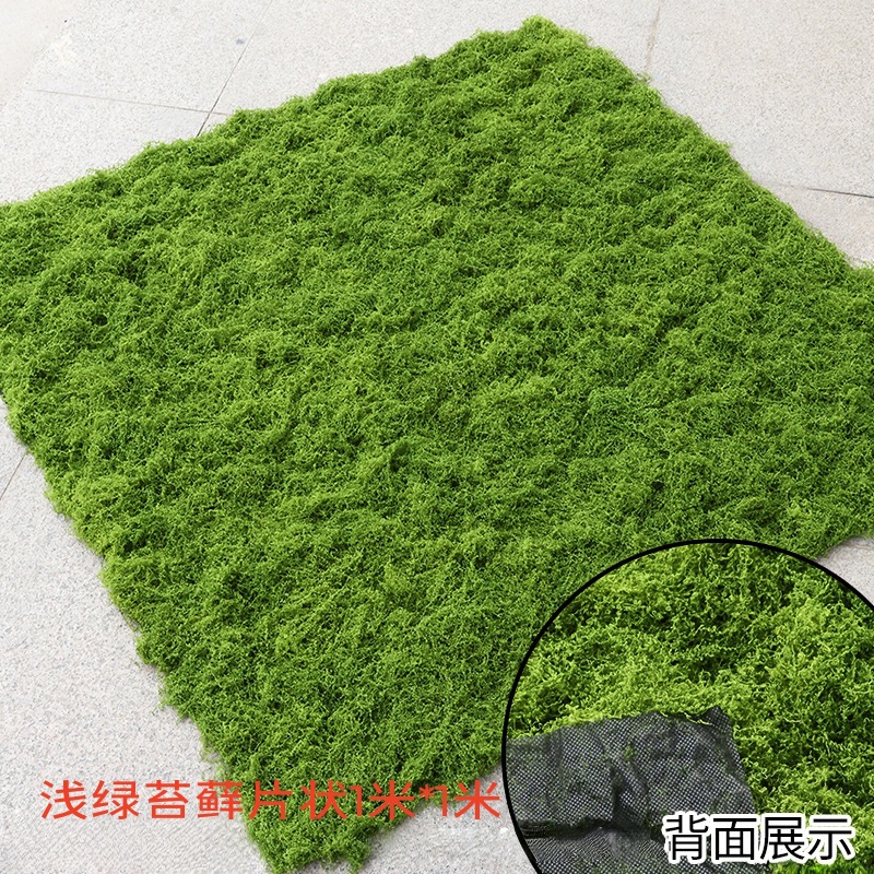 Light green outdoor filamentous moss turf 1*1 meter piece