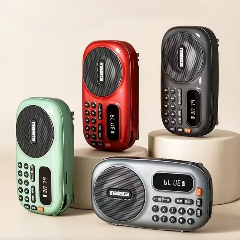 Vanlida B12 블루투스 라디오 TF 카드 USB 디스크 디지털 가수 휴대용 카드 오디오 플레이어