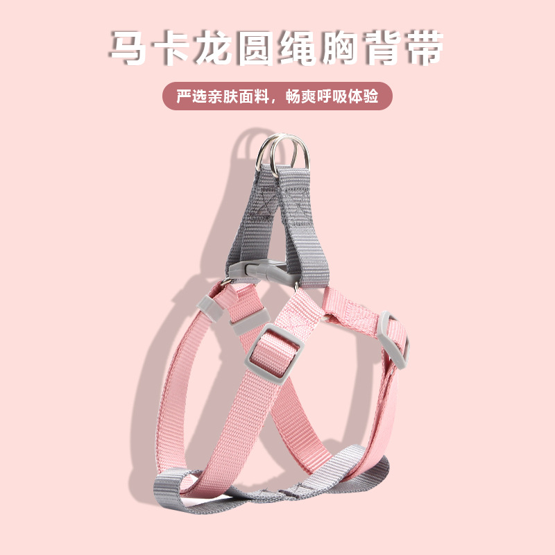 Suministro directo de fábrica, correa de perro ajustable con cuerda redonda de color macarrón para tracción en el pecho y la espalda, suministros para mascotas al por mayor.
