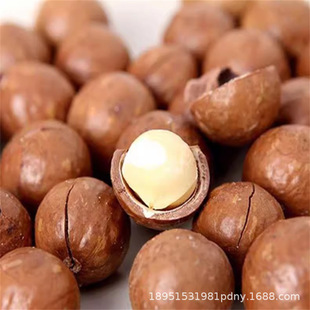 ���޹��һ̖�Թ���Թ����������ļ޽ӹ�����ͥԺ�Nֲ����Y����