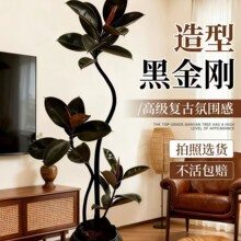 �ڽ�����Ƥ��͏d�������҃ȴ��;Gֲ�ļ����B�̨�k���Ҹ߶�ֲ��