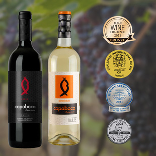 ���������ѾƼ����ȳ�ϼ��ϼ�����ɰ��������l�t����ؼ��ɼt