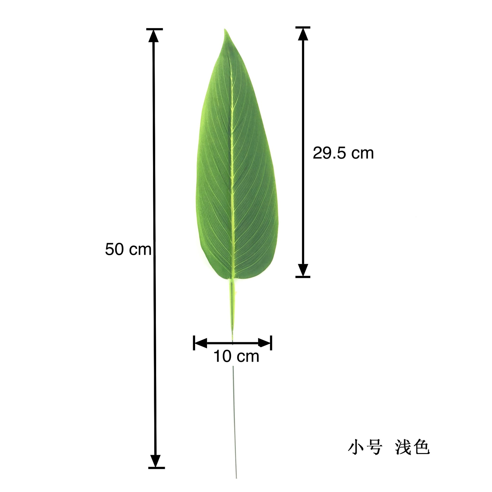작은 밝은 색상