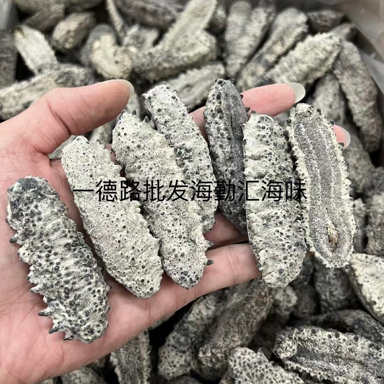 批发深海南美参墨西哥足参肥仔参古巴参刺参海参干货健康滋补营养