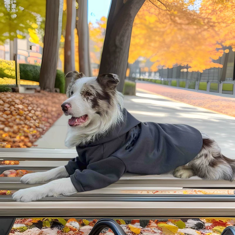 Осенне-зимний флисовый свитер для больших собак, золотистый ретривер, лабрадор, овчарка, красивый теплый Тедди Бишон, не оставляющий волос, на выход