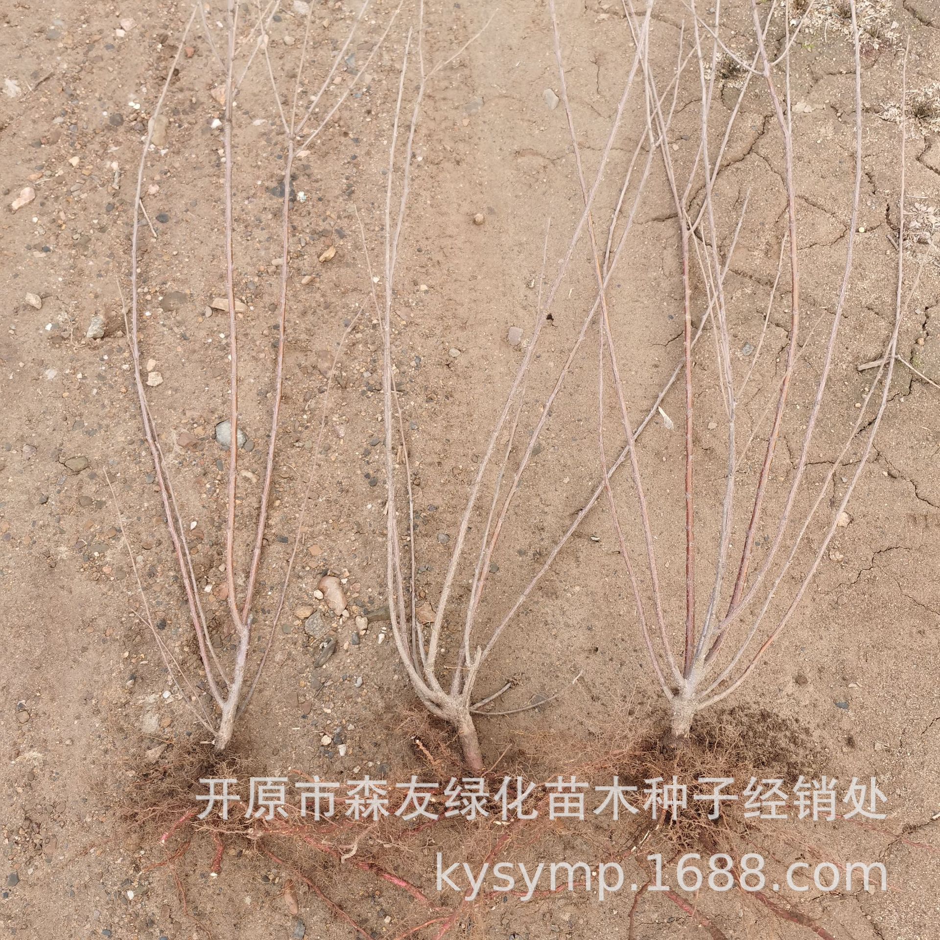 微信图片_20210507123041