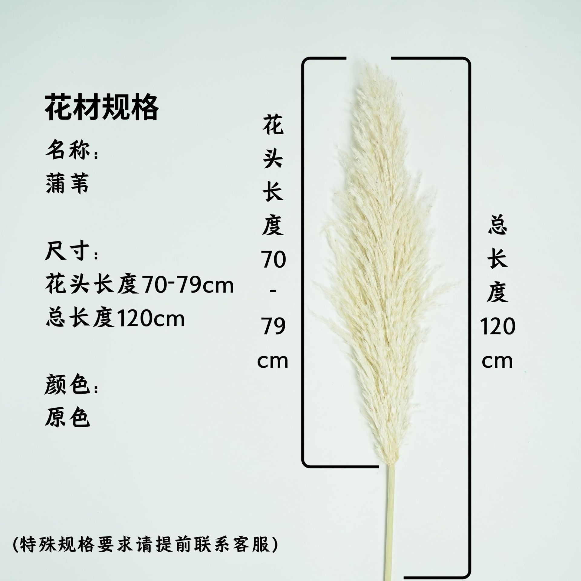 꽃머리 70~79cm 오리지널 컬러 대외 무역 품질 (깃털이 거의 날지 않음)