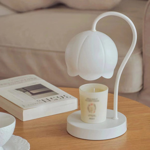Internet Celebrity Small Lily-of-the-valley Melted Wax Lamp Light Entry Luxury Simple Modern Aromatherapy Melted Candle Lamp Bedroom Table Lamp Night Lamp Gift Atmosphere Lamp