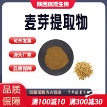 麦芽提取物10:1水溶性麦芽粉原料植物萃取粉末厂家现货