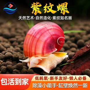 �������ݻ��w�������݌���С���^�p΁ţ�ٺ����и����ص�ˮ�~�ϼy