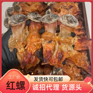 ����������^���������^����^�����t�ݎ�����ݸ�؛500gһ�����l