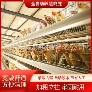 鸽子笼肉鸡H型笼养殖笼多层镀锌肉鸡A型笼鸡笼蛋鸡笼层叠式鹌鹑笼