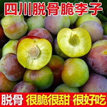 �Ĵ��������rˮ��Ó�����ӬF؛��t���5������߅�t������]