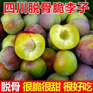 �Ĵ��������rˮ��Ó�����ӬF؛��t���5������߅�t������]