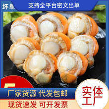 ���r�������ؐ�⺣�r��偟���ʳ�����ط۽z���S��ؐ��ˮ�a����