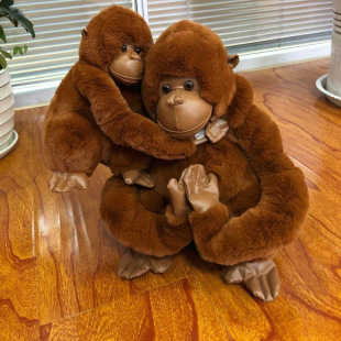 ���������ë�q��߿ɐ۴���ӹ��Є��������ż����������Ů�Y��