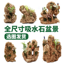 水秀水石盆景奇石奇石鱼缸造景小摆件家居装饰上水石石头假山石吸