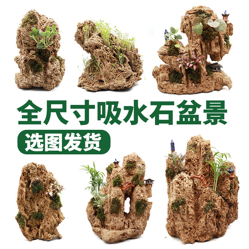 吸水石、盆栽、水石、岩盤、魚鉢、造園、室内装飾、水ショー、石、小物|undefined