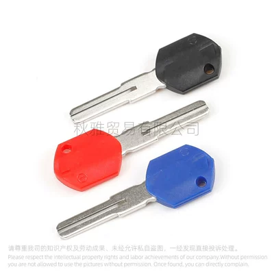 Embryo Can Hold Chip, Motorcycle Key