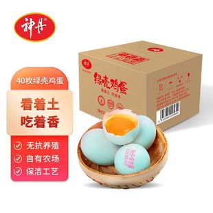 ��ɢ�B���u�G���r�u��40ö�o������ʳ���ι�B�r���I�B