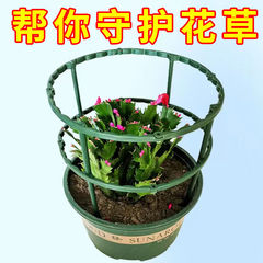 カニ爪蘭花架ステント通用型花架支持棒カニ爪蓮花架蘭保護葉架花溝花箱
