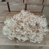 Beige about 400-500g/bubble