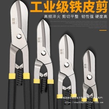 �FƤ�����I�����Ǽ����ռ��F�z���Ӽ����P��X�۰������