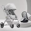 Silver Gray [Trolley + Basket Type Car Seat]