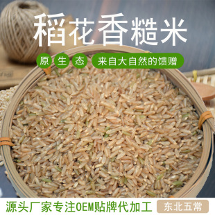 ������������ז|������s�Z�t�׺��ײ�������ּZ